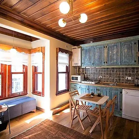 Cosy Wooden Aesthetic Flat In Besiktas 酒店 伊斯坦布尔