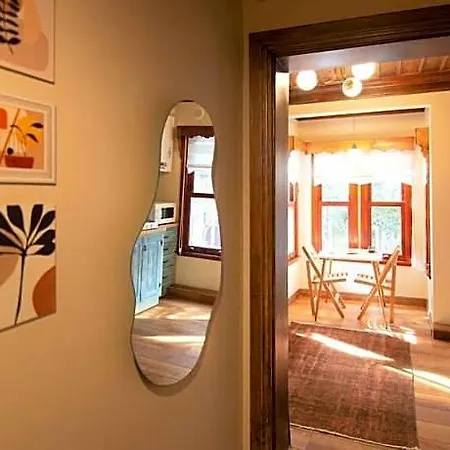 Cosy Wooden Aesthetic Flat In Besiktas
