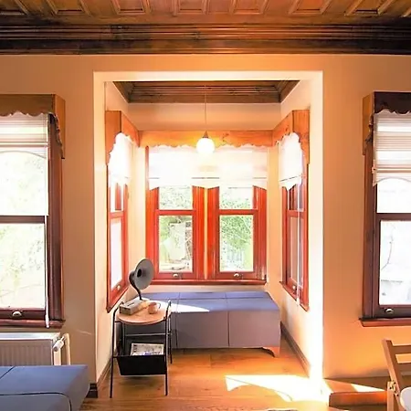 Cosy Wooden Aesthetic Flat In Besiktas Istambul