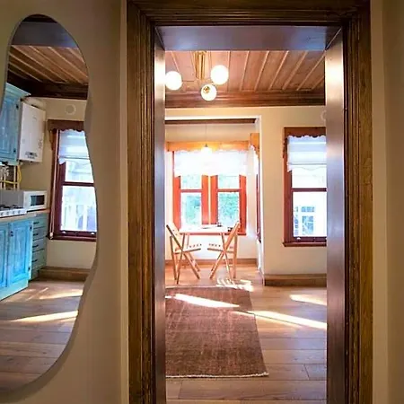 酒店 Cosy Wooden Aesthetic Flat In Besiktas